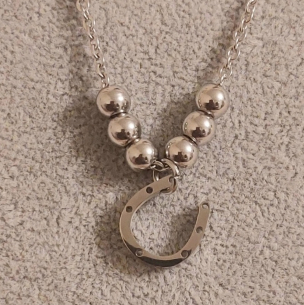 Horseshoe Stainless Steel Necklace